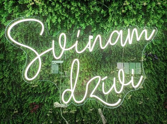 LED gaismu izkārtne "Svinam dzīvi" + 2gb izkārtnes pēc izvēles